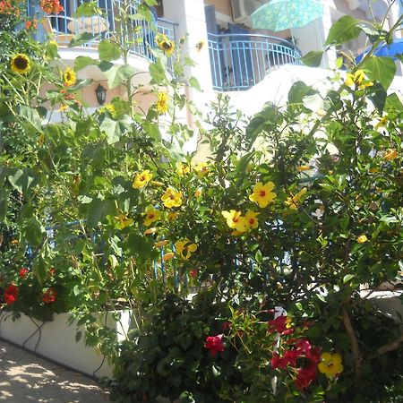Olive Bay Hotel Agia Efimia Exterior photo